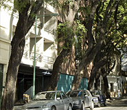 Esplendor Palermo Soho Boutique hotel picture, Buenos Aires hotels, Argentina For Less